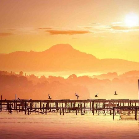 Villa Del Mare La Seyne-sur-Mer Bagian luar foto