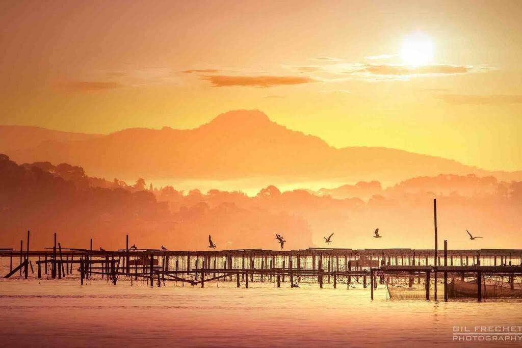 Villa Del Mare La Seyne-sur-Mer Bagian luar foto